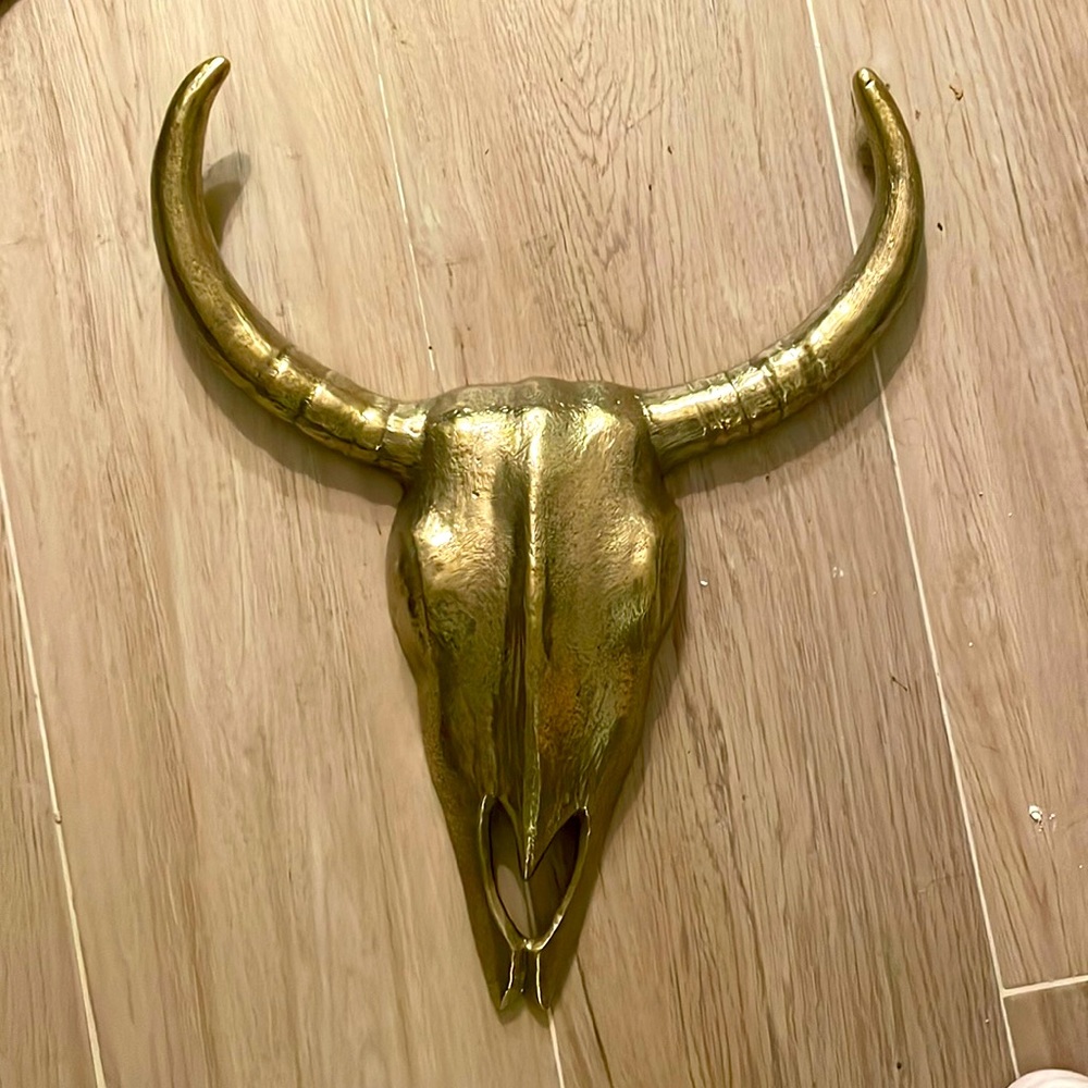Bronze steer skull & horns 18” high